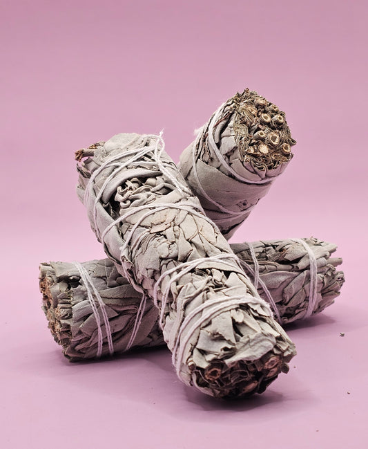 Mini White Sage Bundle