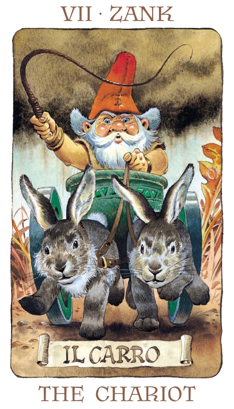 Tarot Of The Gnomes